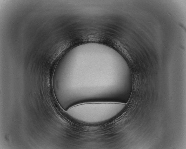 X0000098120251200804040830