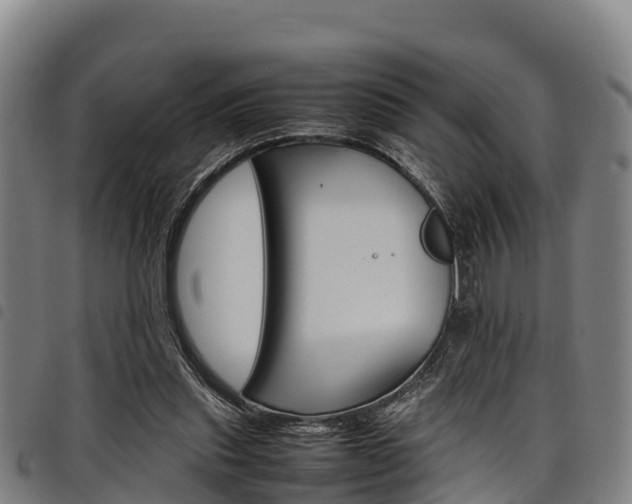X0000098120253200804040830