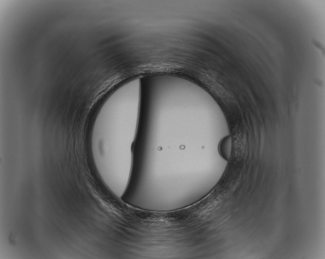 X0000098120254200804040830
