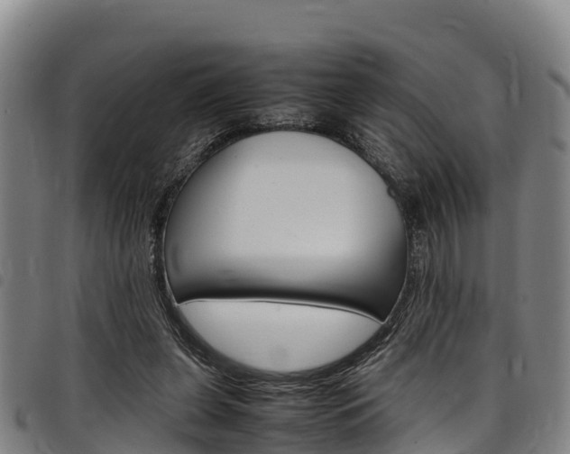 X0000098120255200804040830