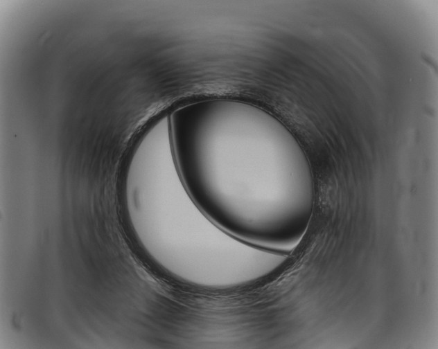 X0000098120256200804040830