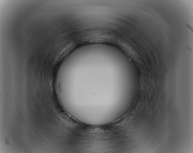 X0000098120258200804040830