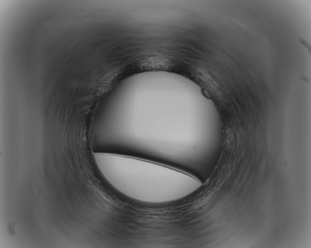 X0000098120259200804040830
