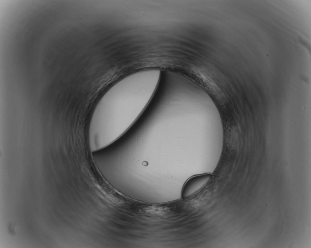 X0000098120261200804040830