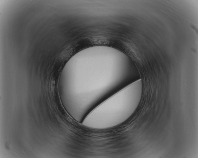 X0000098120263200804040830