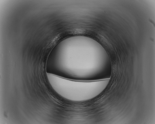 X0000098120264200804040830