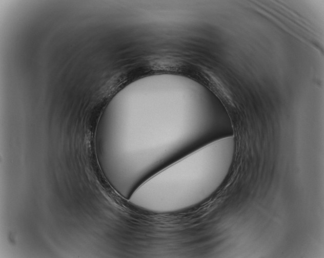 X0000098120265200804040830