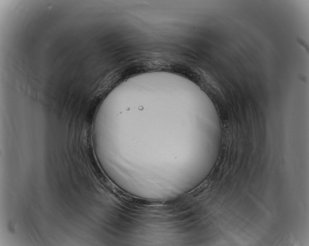 X0000098120266200804040830