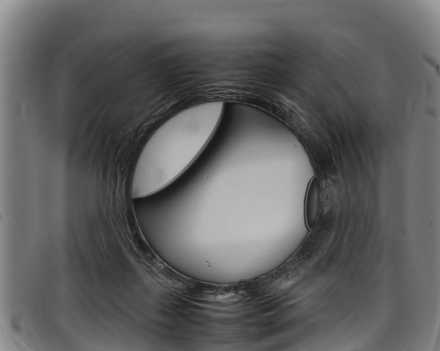 X0000098120267200804040830