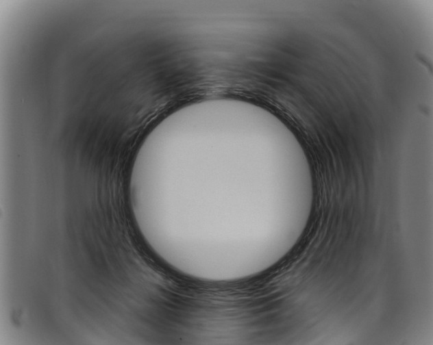 X0000098120268200804040830
