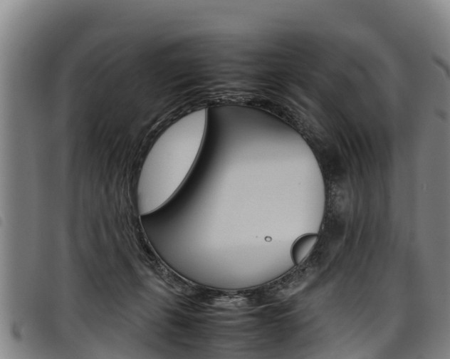 X0000098120271200804040830