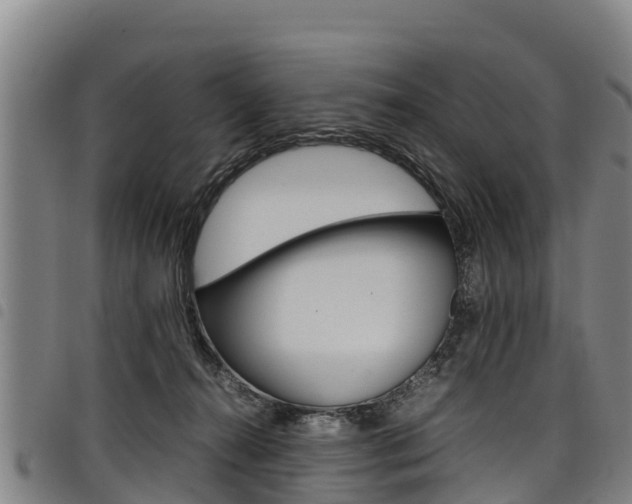 X0000098120272200804040830
