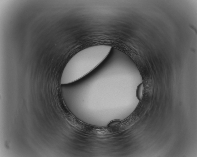 X0000098120275200804040830