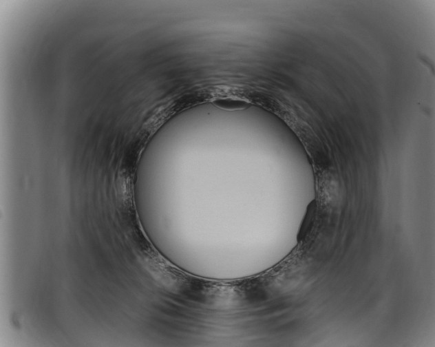 X0000098120276200804040830