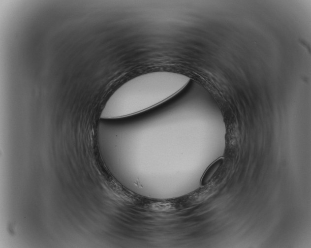 X0000098120279200804040830