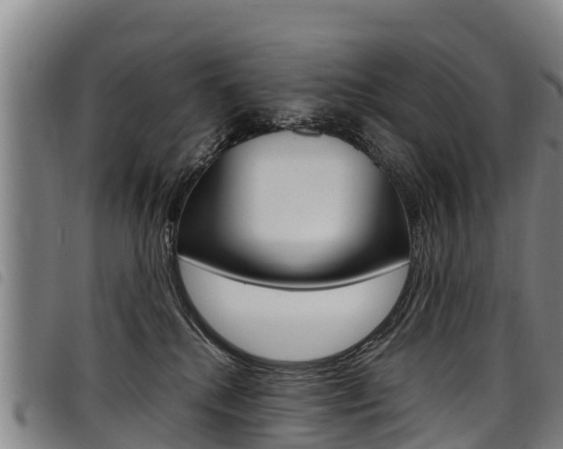 X0000098120280200804040830