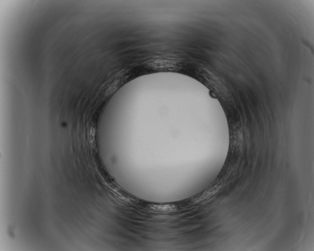 X0000098120281200804040830