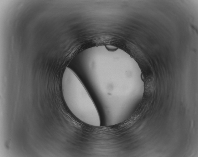 X0000098120282200804040830