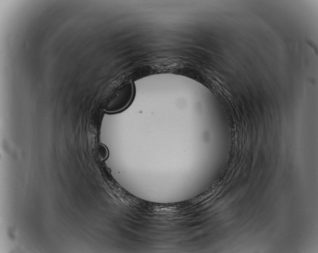 X0000098120283200804040830