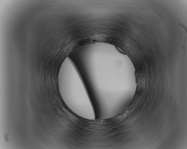 X0000098120285200804040830