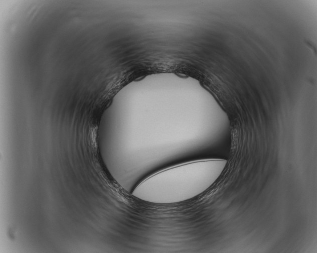 X0000098120286200804040830
