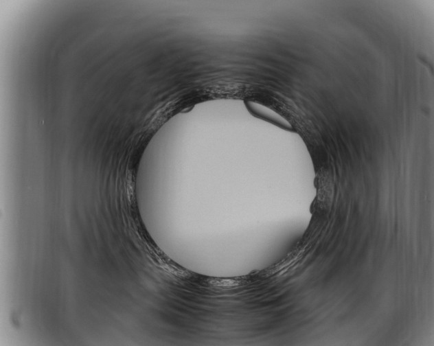 X0000098120287200804040830