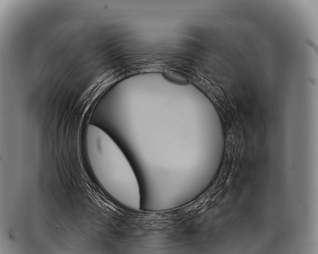X0000098120290200804040830