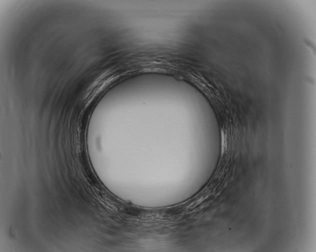 X0000098120291200804040830