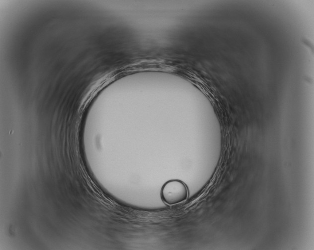 X0000098120293200804040830