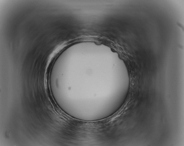 X0000098120294200804040830