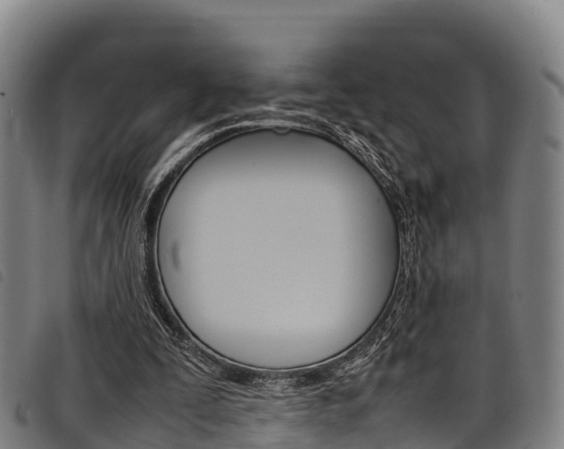 X0000098120295200804040830
