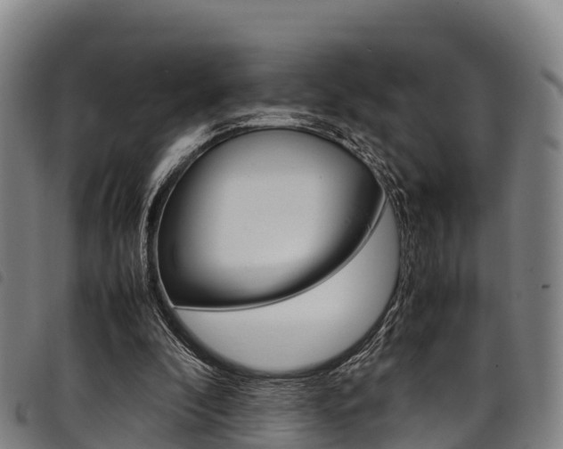 X0000098120296200804040830
