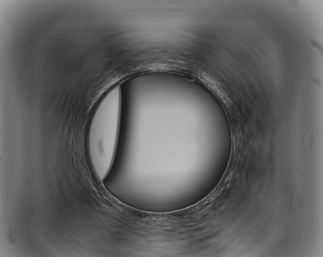 X0000098120297200804040830