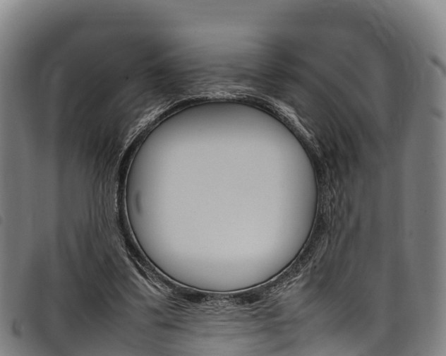 X0000098120299200804040830