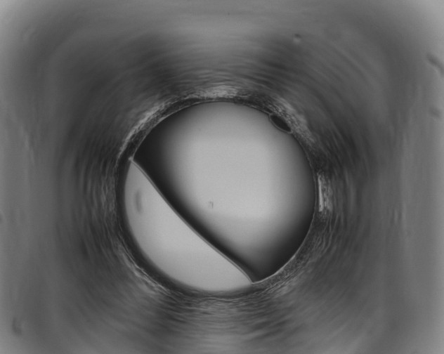 X0000098120300200804040830