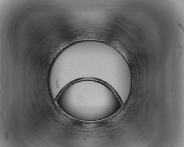 X0000098120301200804040830