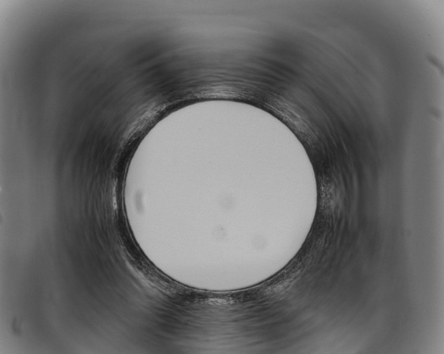 X0000098120302200804040830
