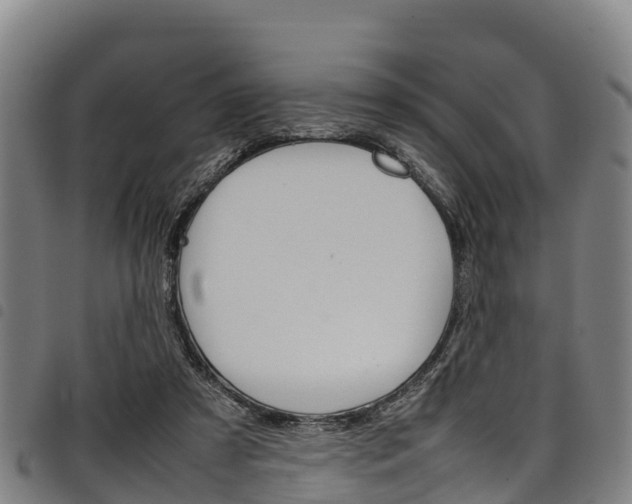 X0000098120305200804040829
