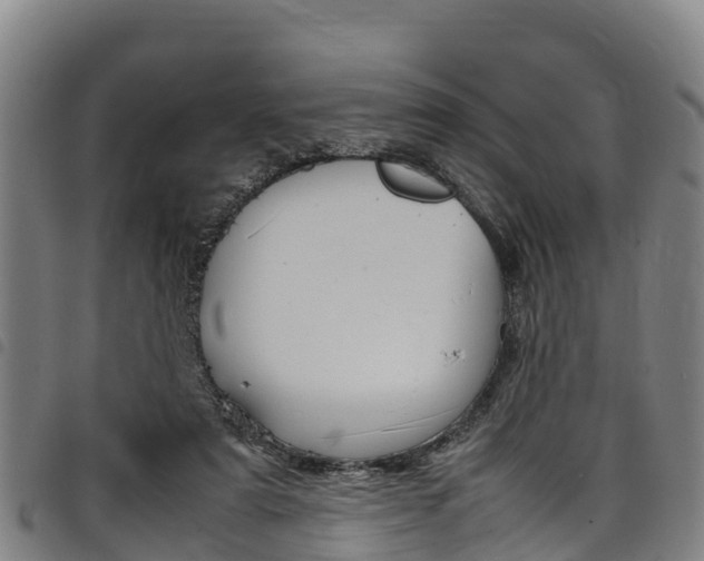X0000098120307200804040829