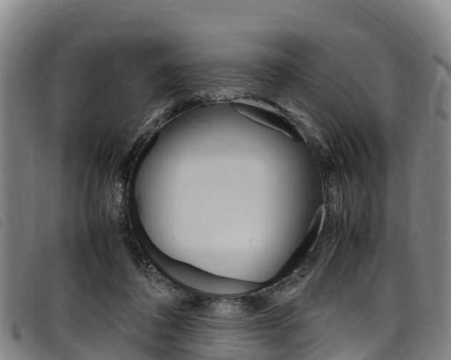 X0000098120308200804040829
