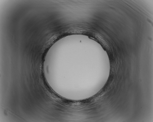X0000098120309200804040829