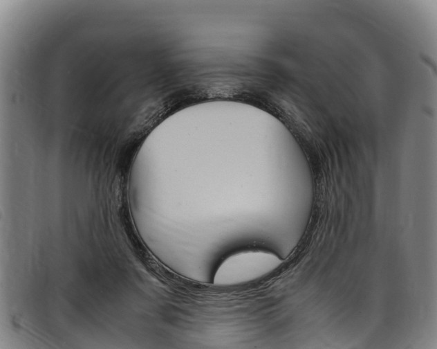 X0000098120311200804040829