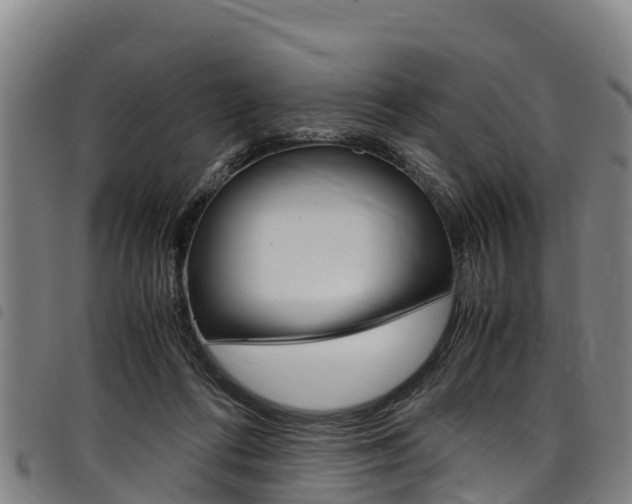 X0000098120312200804040829