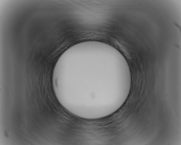 X0000098120313200804040829