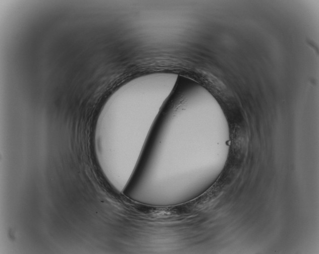 X0000098120315200804040829