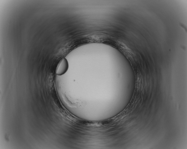 X0000098120318200804040829
