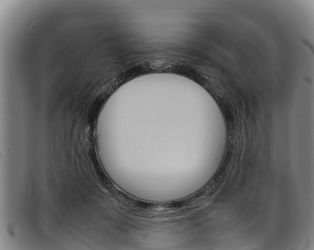 X0000098120319200804040829