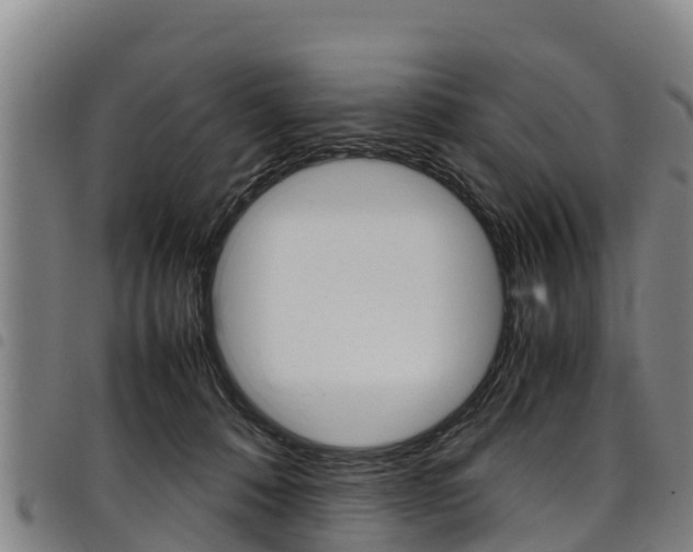 X0000098120320200804040829