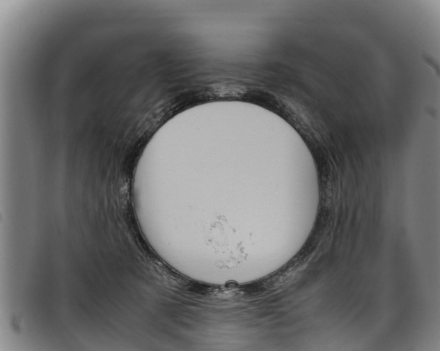 X0000098120321200804040829