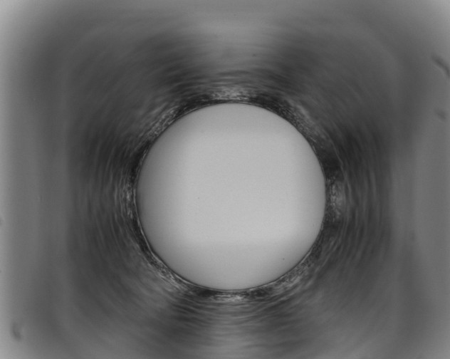 X0000098120322200804040829